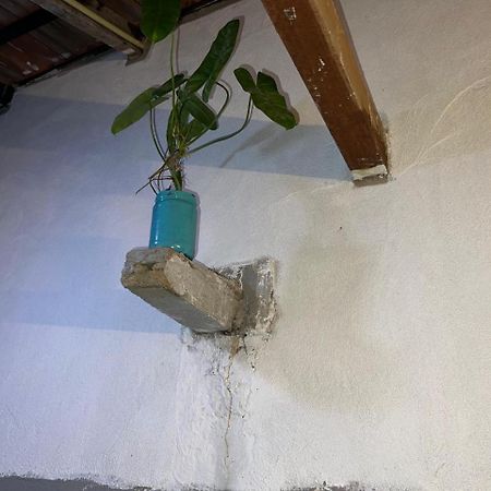 아루감 베이 Cactus Arugambay 호스텔 외부 사진