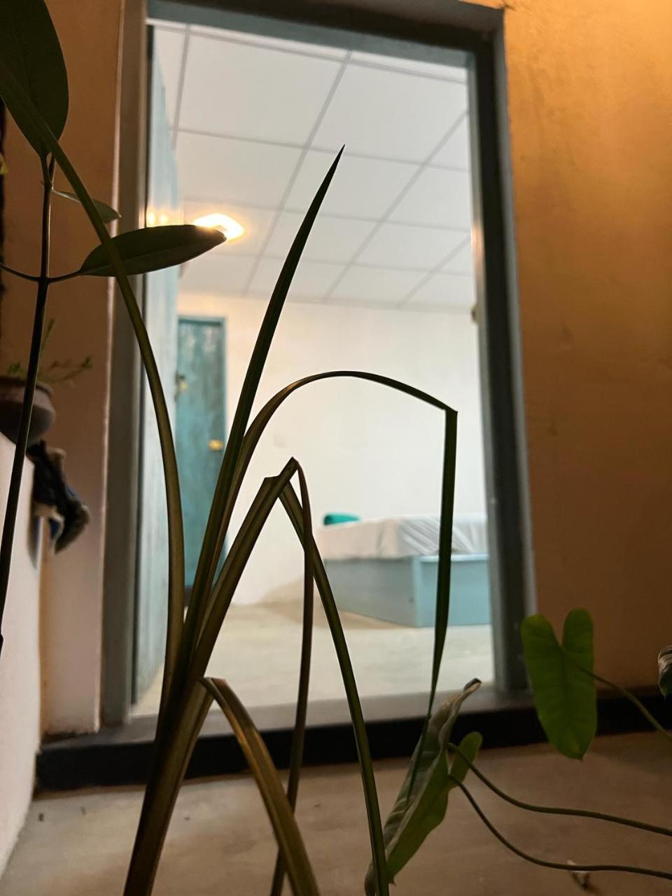 아루감 베이 Cactus Arugambay 호스텔 외부 사진