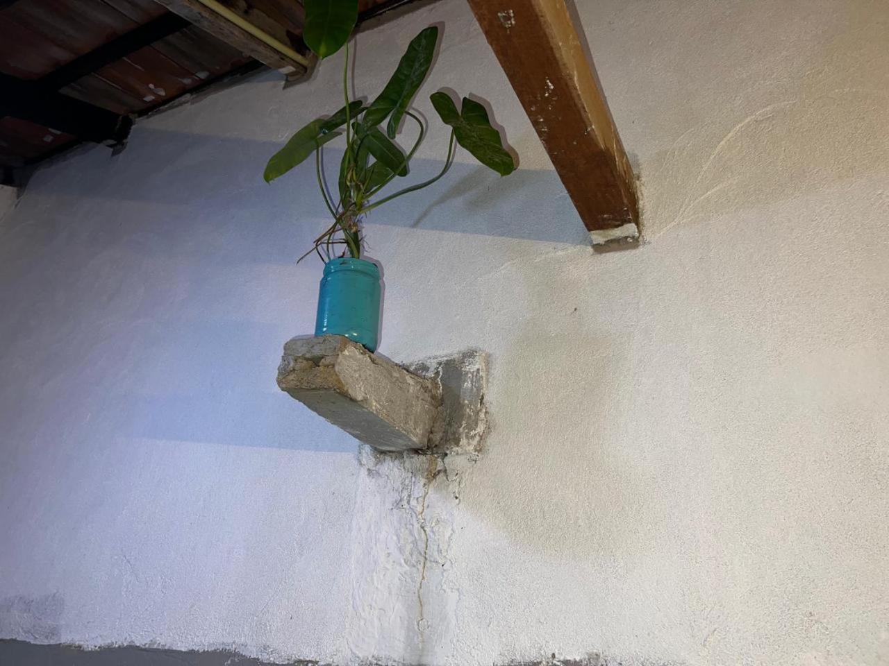 아루감 베이 Cactus Arugambay 호스텔 외부 사진