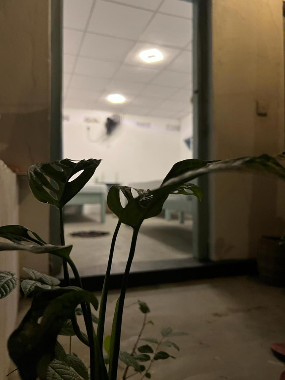 아루감 베이 Cactus Arugambay 호스텔 외부 사진