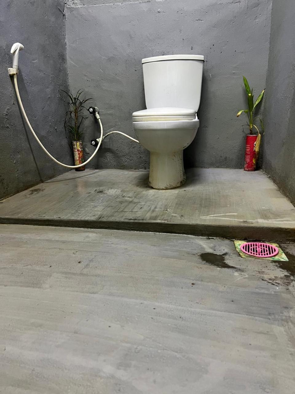 아루감 베이 Cactus Arugambay 호스텔 외부 사진