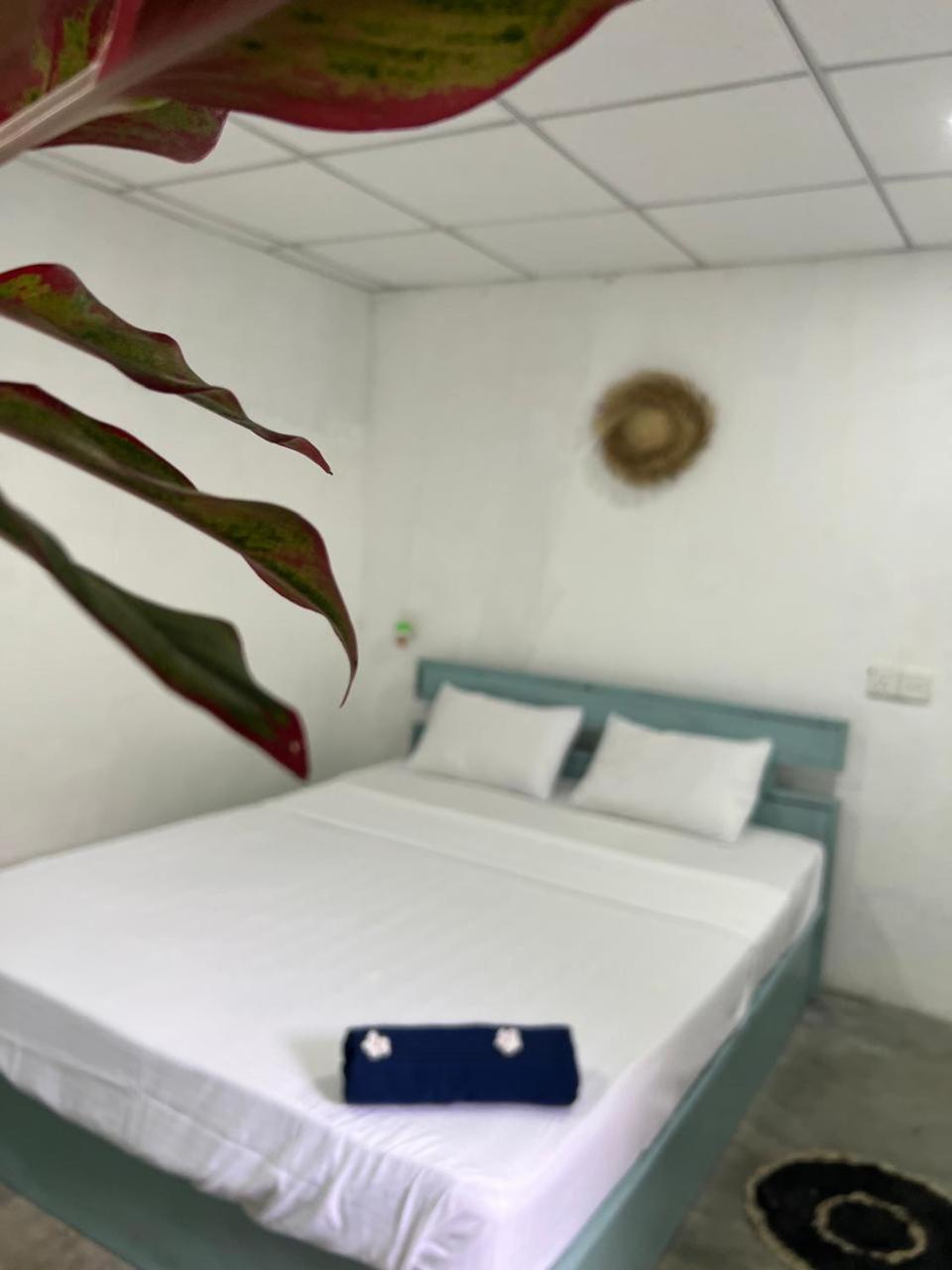 아루감 베이 Cactus Arugambay 호스텔 외부 사진