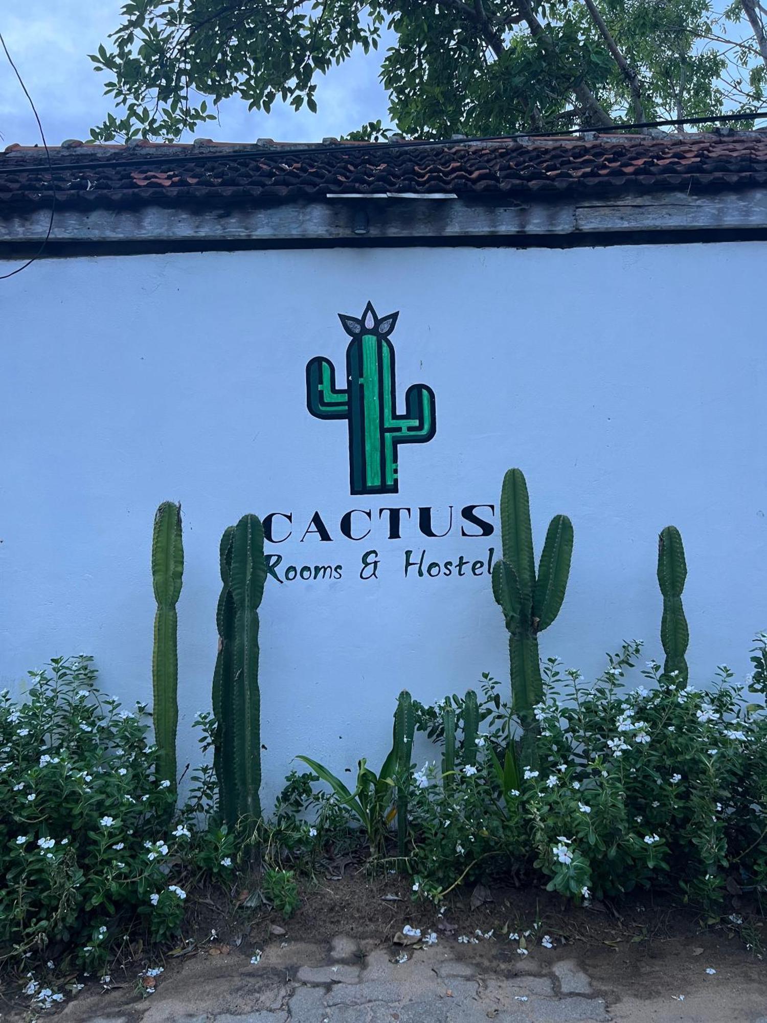 아루감 베이 Cactus Arugambay 호스텔 외부 사진